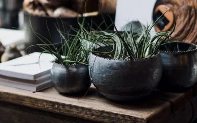 Tendencias en Decoración para Aumentar el Valor de tu Propiedad en 2024