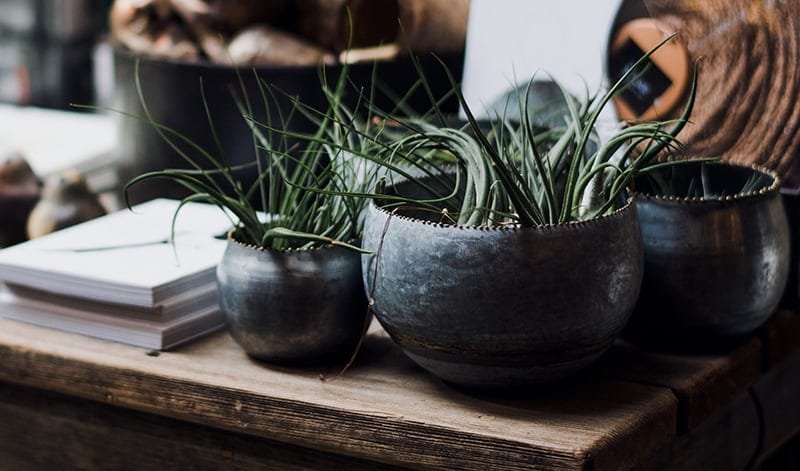 Tendencias en Decoración para Aumentar el Valor de tu Propiedad en 2024